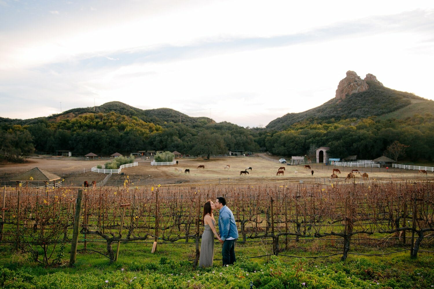 Giraffic Park Engagement Kevin Le Vu Photography19