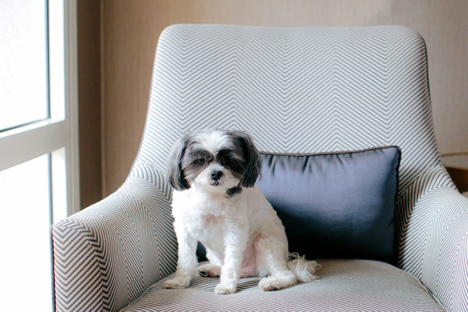 Calamigos Ranch Malibu Wedding Kevin Le Vu Photography 12