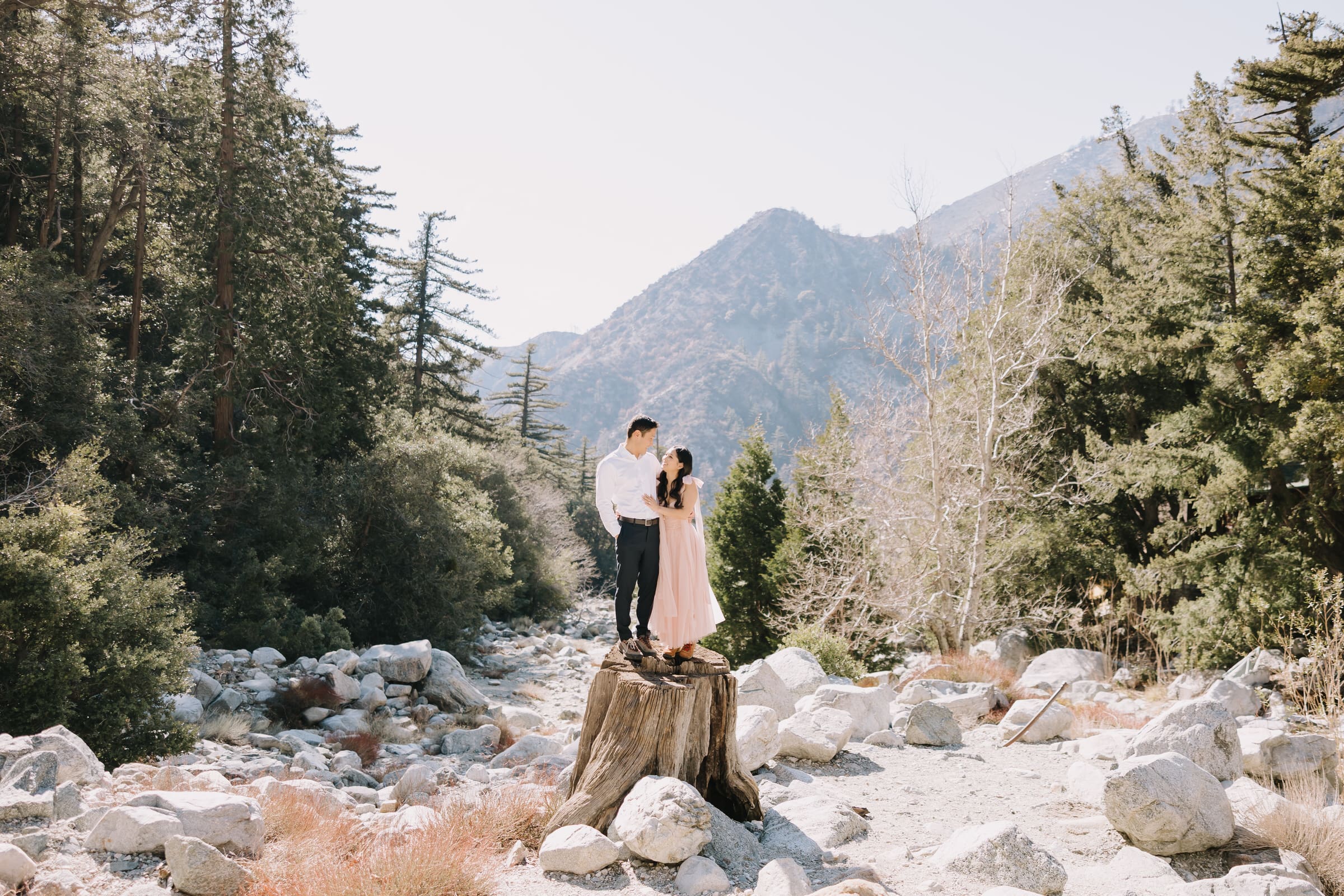 Hank and Valerie walking through a pine forest during their engagement session near Mt. Baldy in the Angeles National Forest.